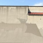 Как вернуть старому бетону блеск и свежий вид: практическое руководство по полировке Как вернуть старому бетону блеск и свежий вид: практическое руководство по полировке