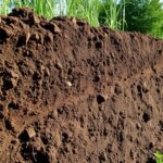 Por qué el suelo de apoyo requiere atención: compactación y su papel silencioso